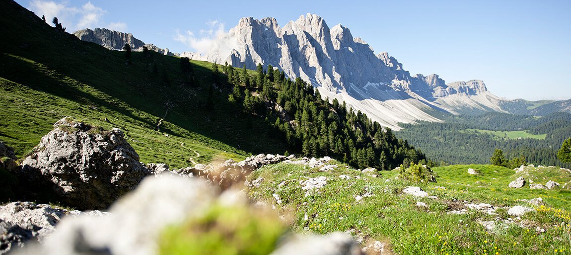 Trascorrete una vacanza in famiglia nelle Dolomiti in Val di Funes 